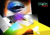 BIGCBS Spark